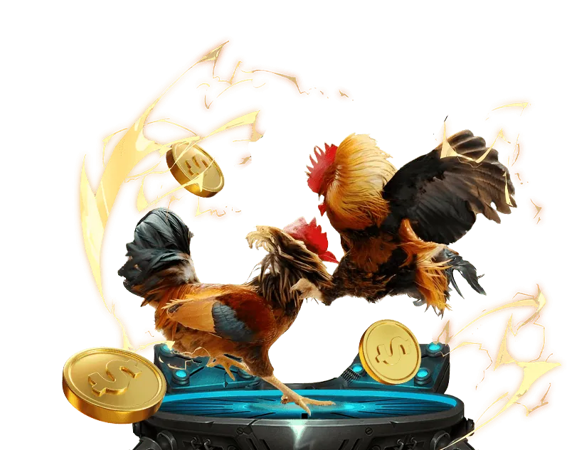 Cá cược thể thao với các trận đấu bóng đá trên vip66